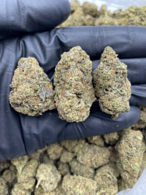 BLACK TRUFFLE