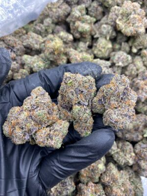 PREMIUM LCG