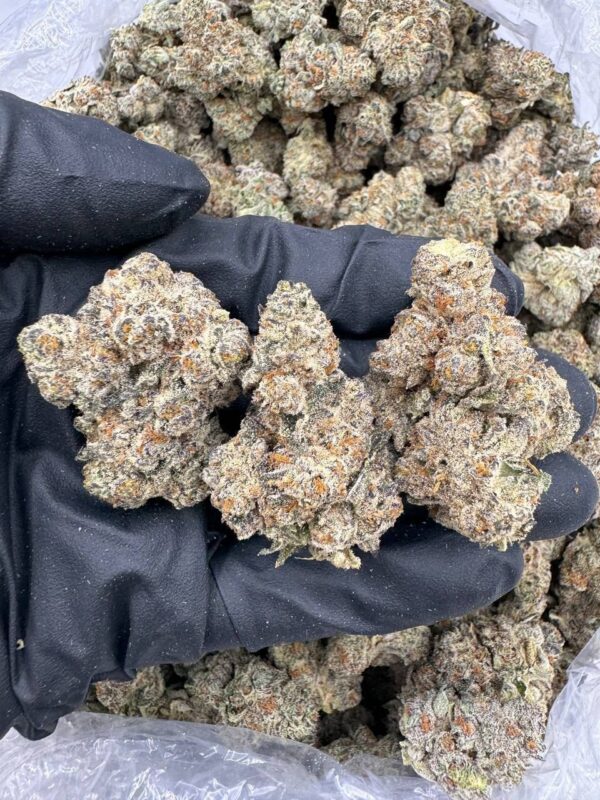 BLACK ICE