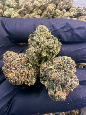 Lemon cherry gelato mediums 🍬
