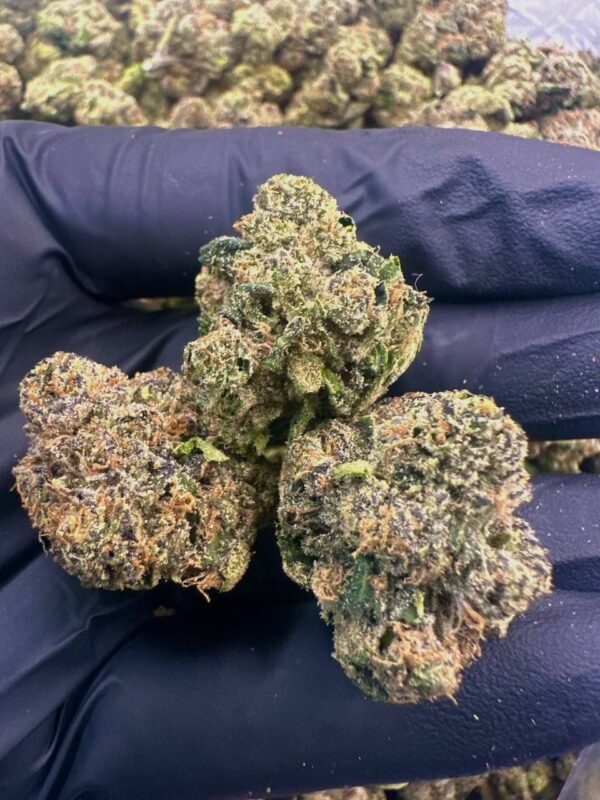Lemon cherry gelato mediums 🍬
